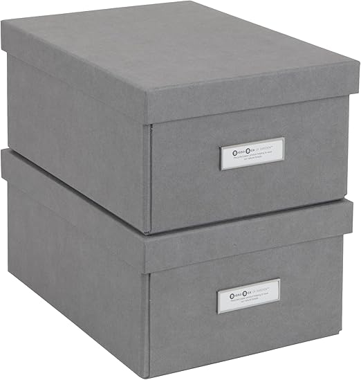 Bigso Karin Collapsible Storage Box Photo Storage Box with Labelframe for Identification