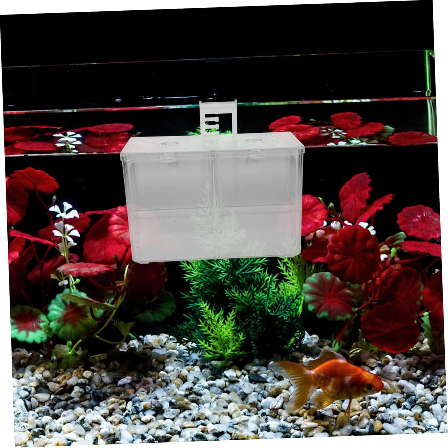 Fish Breeding Box and Shrimp Incubator Divider Hatchery Tank Cups for Safe Isolation and Enhanced Survival Rate of Juvenile Fish