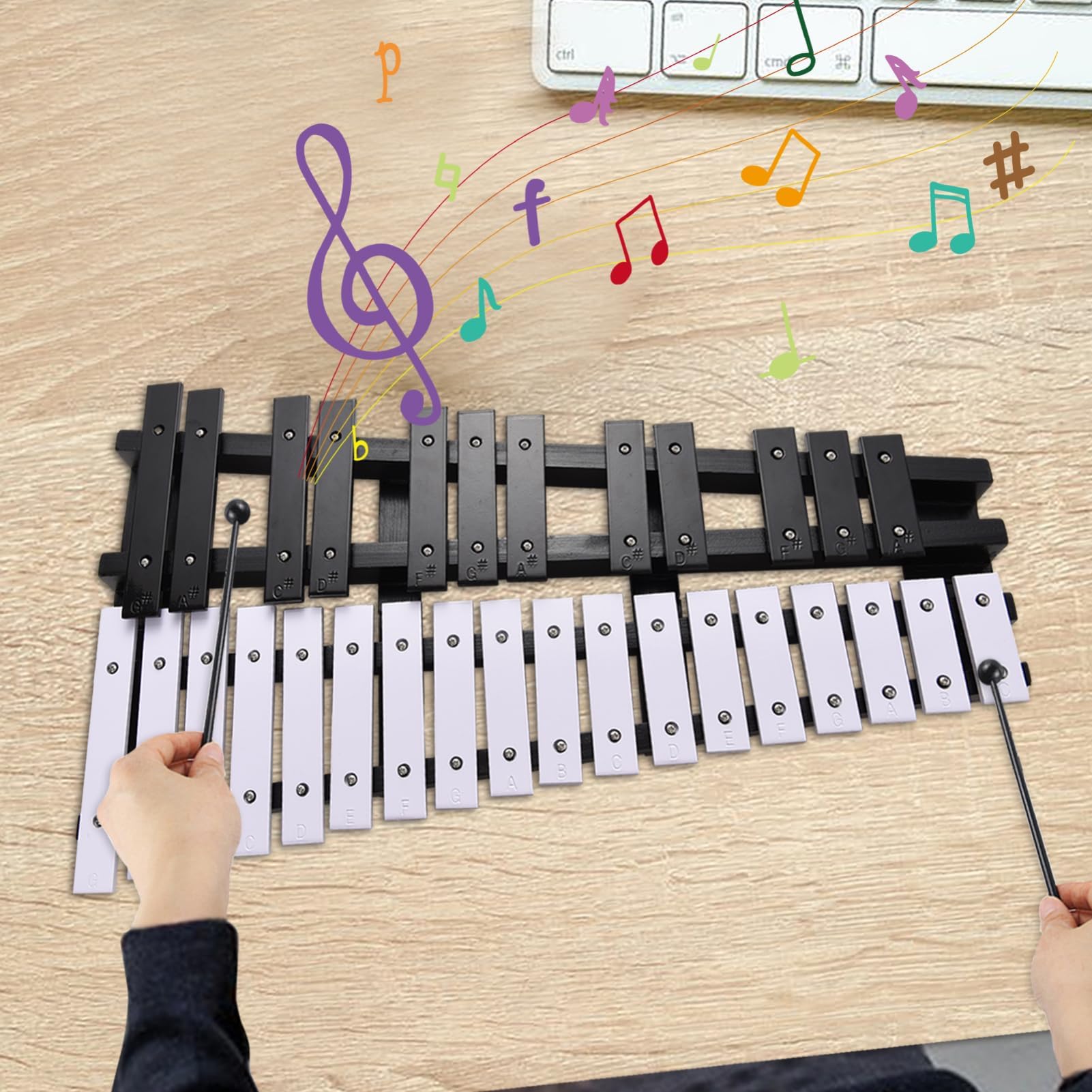 Ejoyous Xylophone, 30 Notes Cadre en Bois Tiges en Aluminium Xylophone Pliant avec Sac 2 Maillets, pour étudiants Débutants (Noir Blanc)