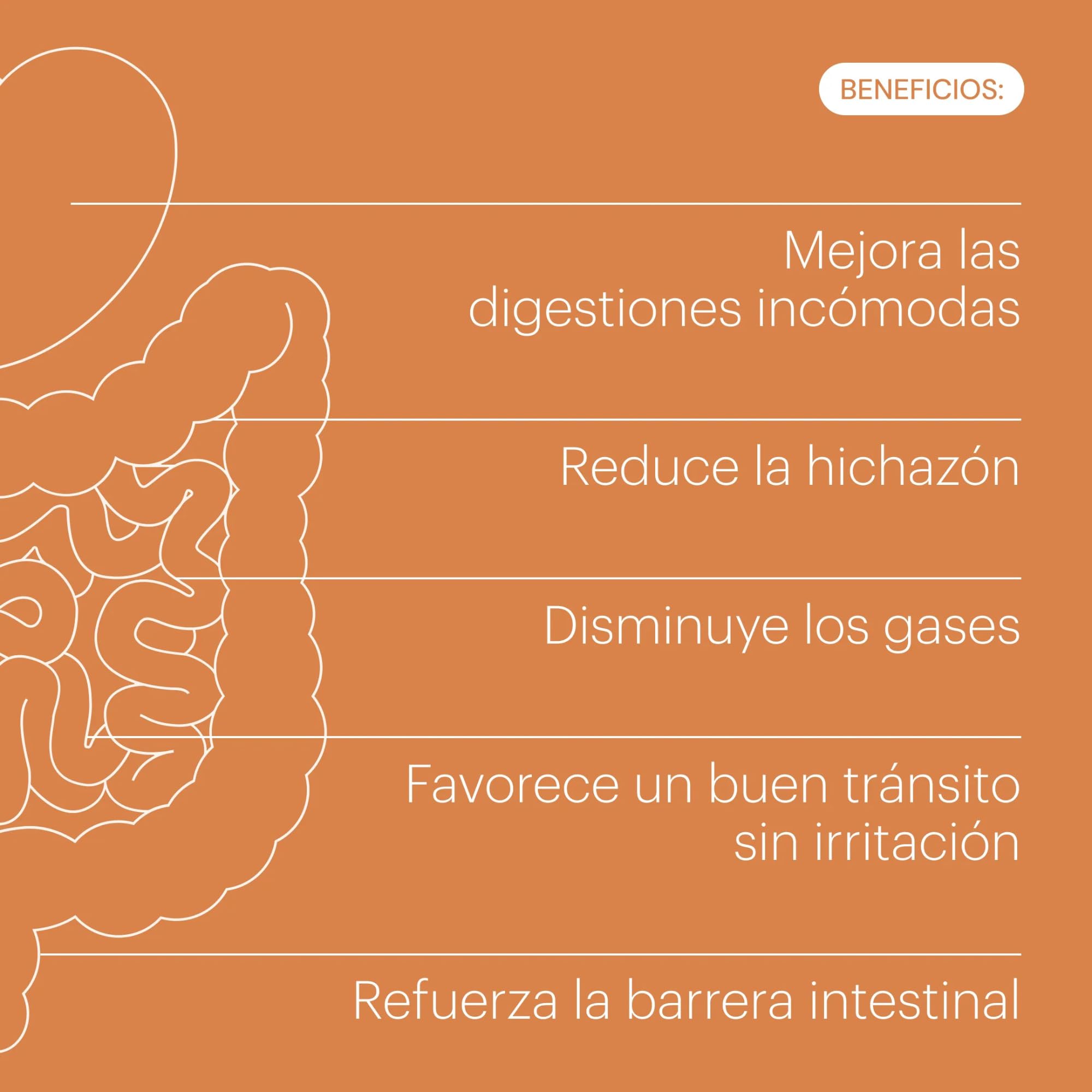 Enzimas Digestivas Butirato Quercetina DigeZyme be levels | Con hinojo, jengibre, melisa y manzanilla. Formula vegana. Sin gluten ni lactosa. 2 capsulas al dia.