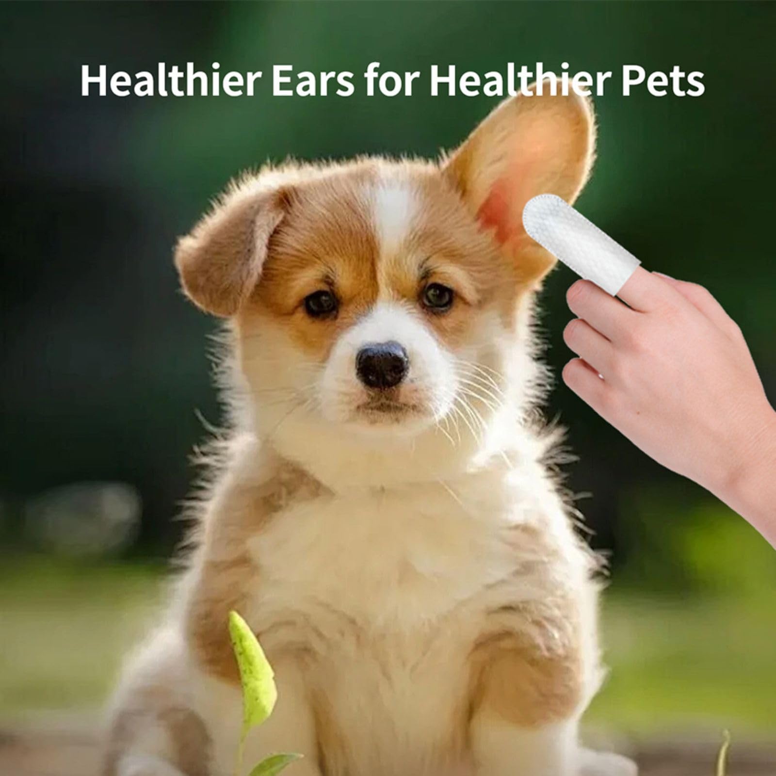 Mloowa Dog Ear Wipes Finger for Dogs Cats 50 Pcs Dog Ear Cleaner Reduce Earwax Buildup Sooths Deodorizes Relieve Ear Itching Inflammation, Fresh Coconut Scent, Natural Material 1