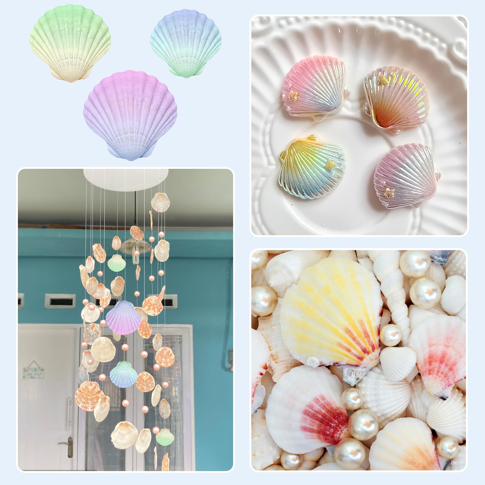 Bougie coquillage - coquille saint jacques on Gens de Confiance