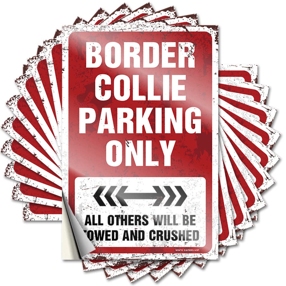 Border Collie Parking Only Indie Decor Fall - Sticker Wall Waterproof Decal(12X18CM)