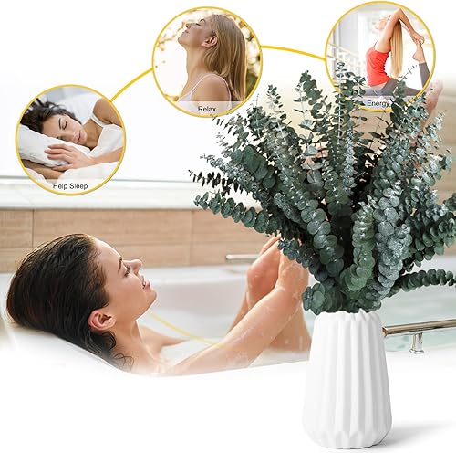 Miniatura 4 de Paquete de 32 piezas de eucalipto seco para ducha, plantas de ducha grandes de 17 pulgadas de eucalipto, hojas de eucalipto reales frescas para