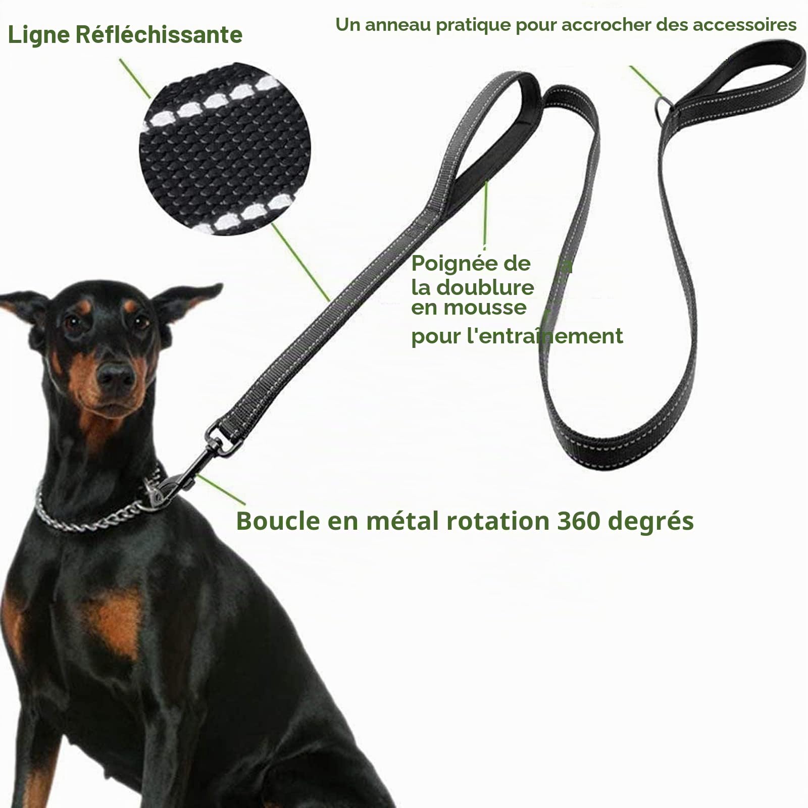 Laisse de Dressage à Double poignée de 1,5 mètre, contrôle de proximité, Laisse de sécurité pour Chiens de Grande et Moyenne Taille, Design réfléchissant