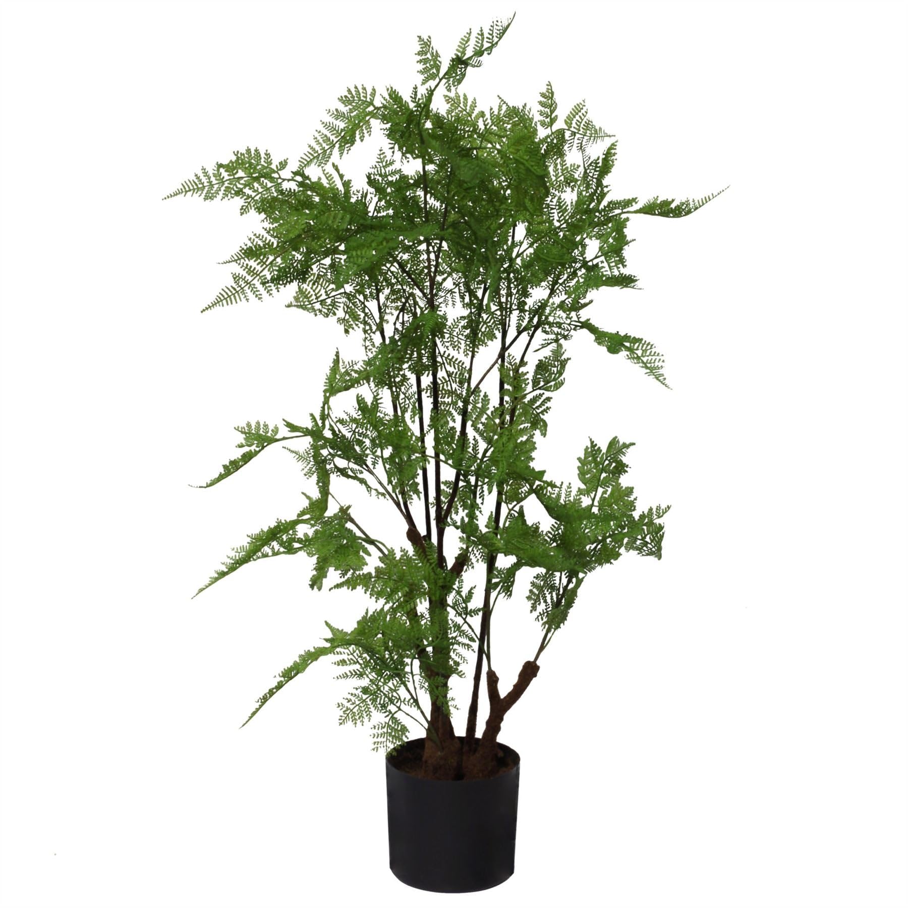 Botanik Premium Artificial Fern Grass