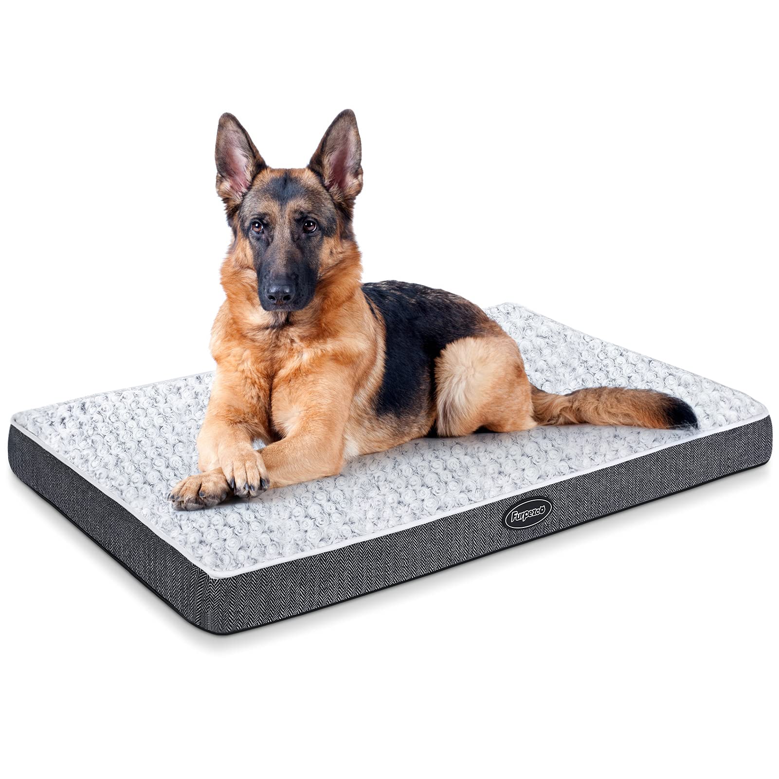 What Is An Orthopedic Dog Bed