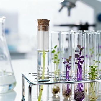 15 Pack Clear Test Tubes