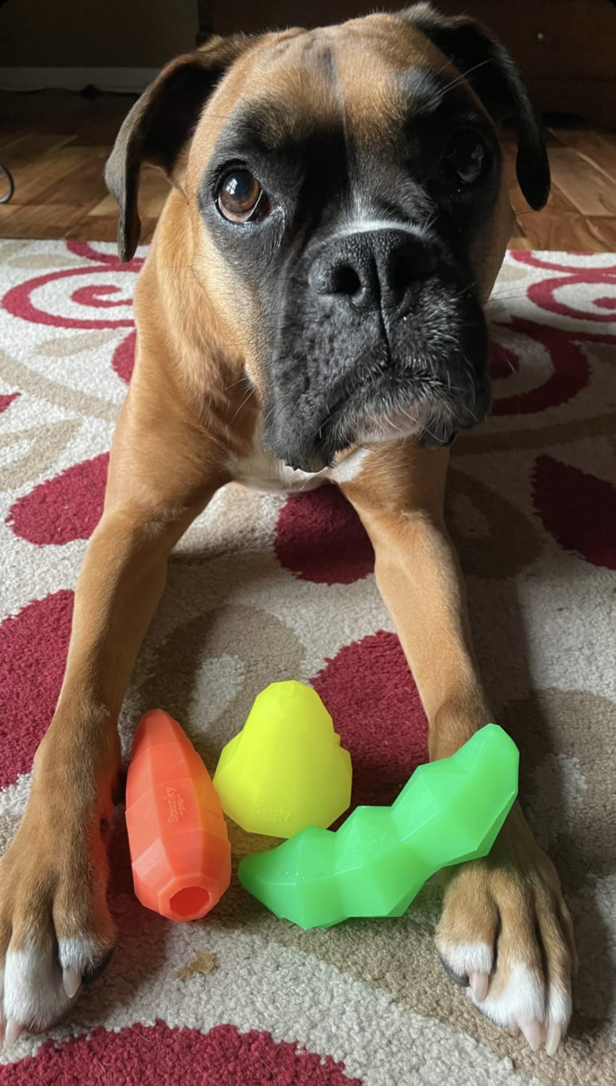 Pet Supplies : Spunky Pup Holding Treat Play Dog Toy | Interactive