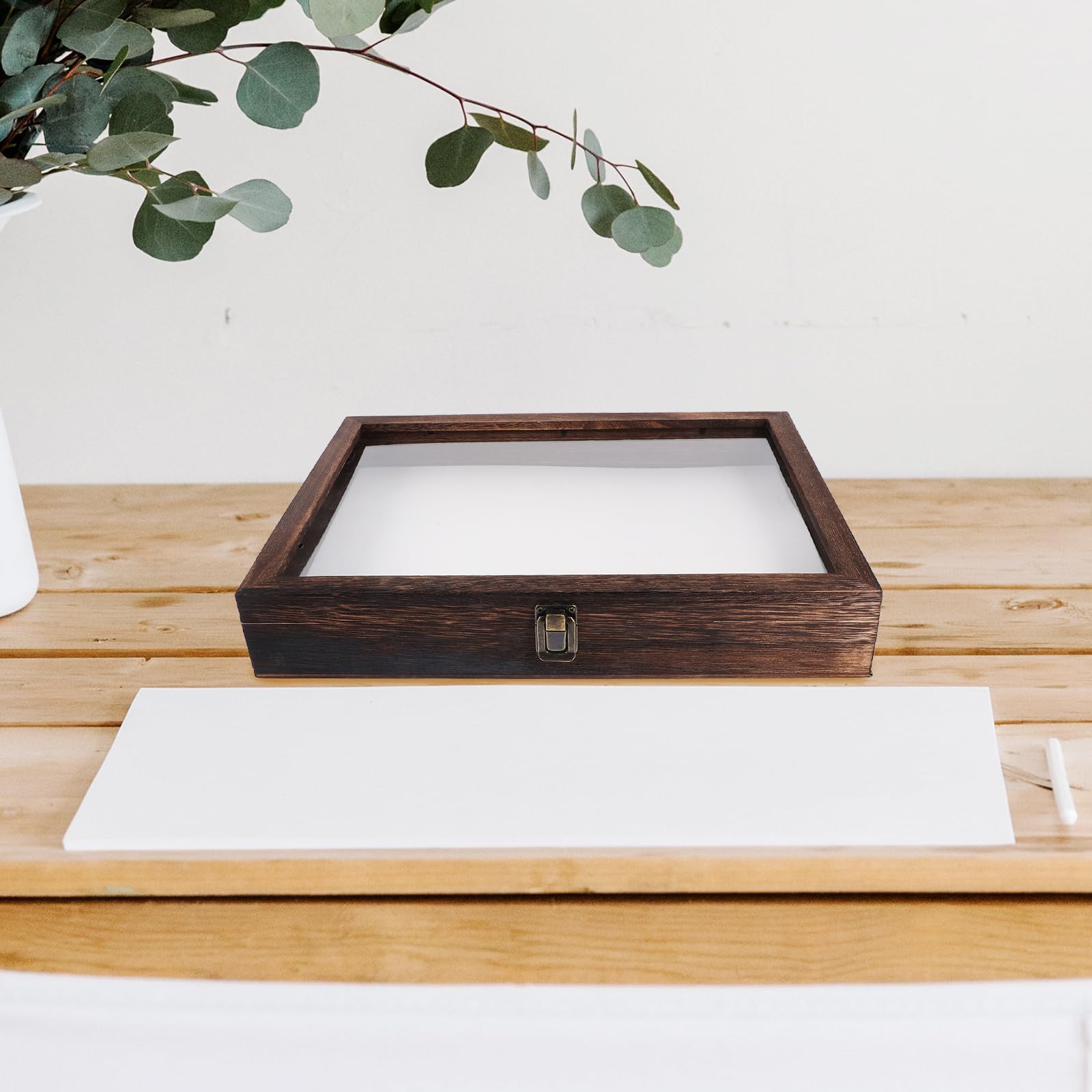 iplusmile Caja de Exhibición de Especímenes con Cerradura, Caja de Madera para Muestras, Vitrina de Insectos, Cubierta Transparente, para Especímenes y Manualidades Varios Estilos