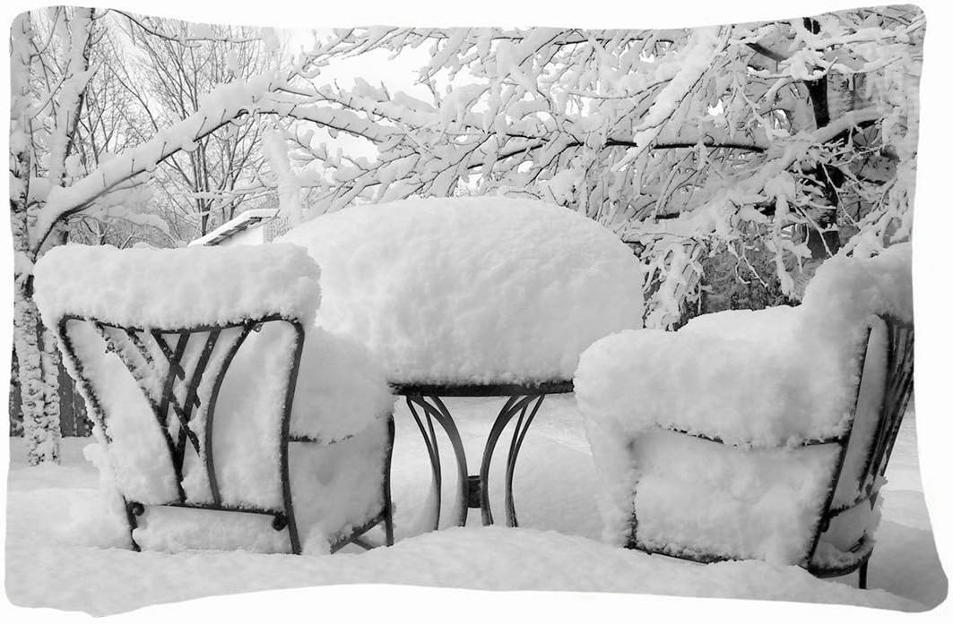 Queen Size Decorative PillowCases -Nature winter snows chairs images table cover attire