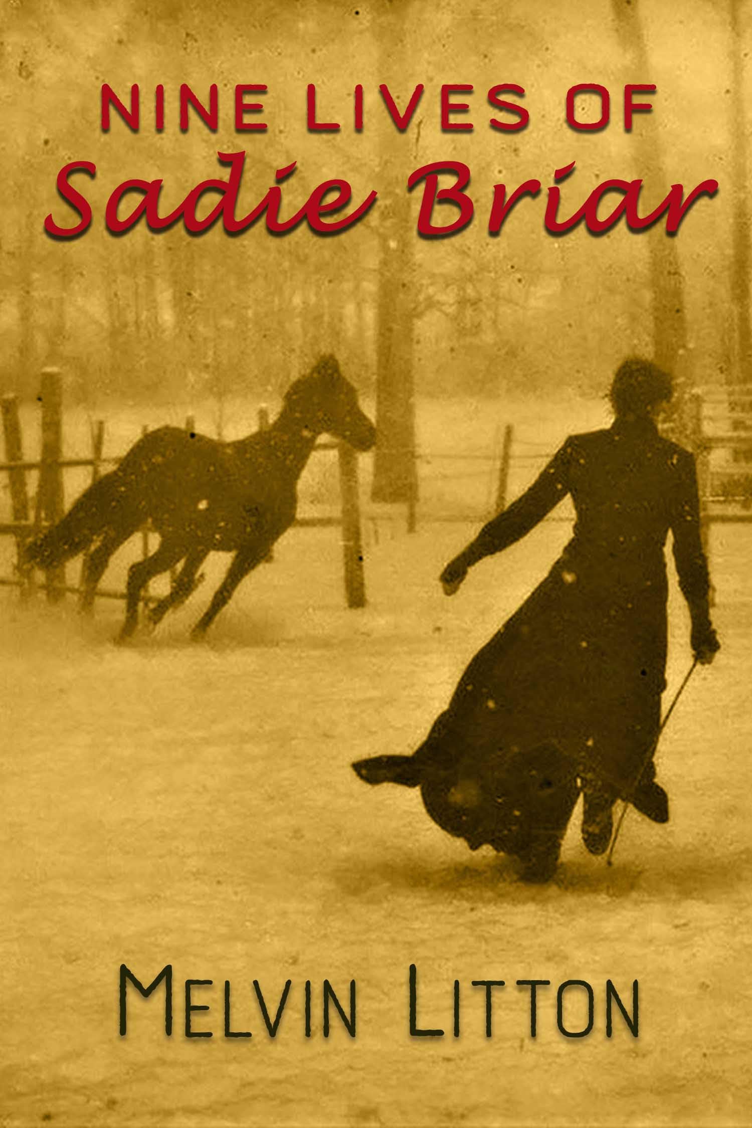 Nine Lives of Sadie Briar