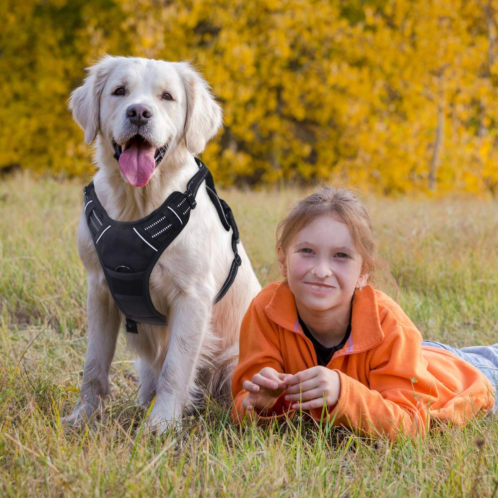rabbitgoo Pettorina Cane Taglia Grande, Pettorina Cane ad h Regolabile con 2 Ganci in Metallo, Imbracatura per Cani Anti Tiro Riflettente, Imbracatura Traspirante per Addestramento Corsa, Nero, XL
