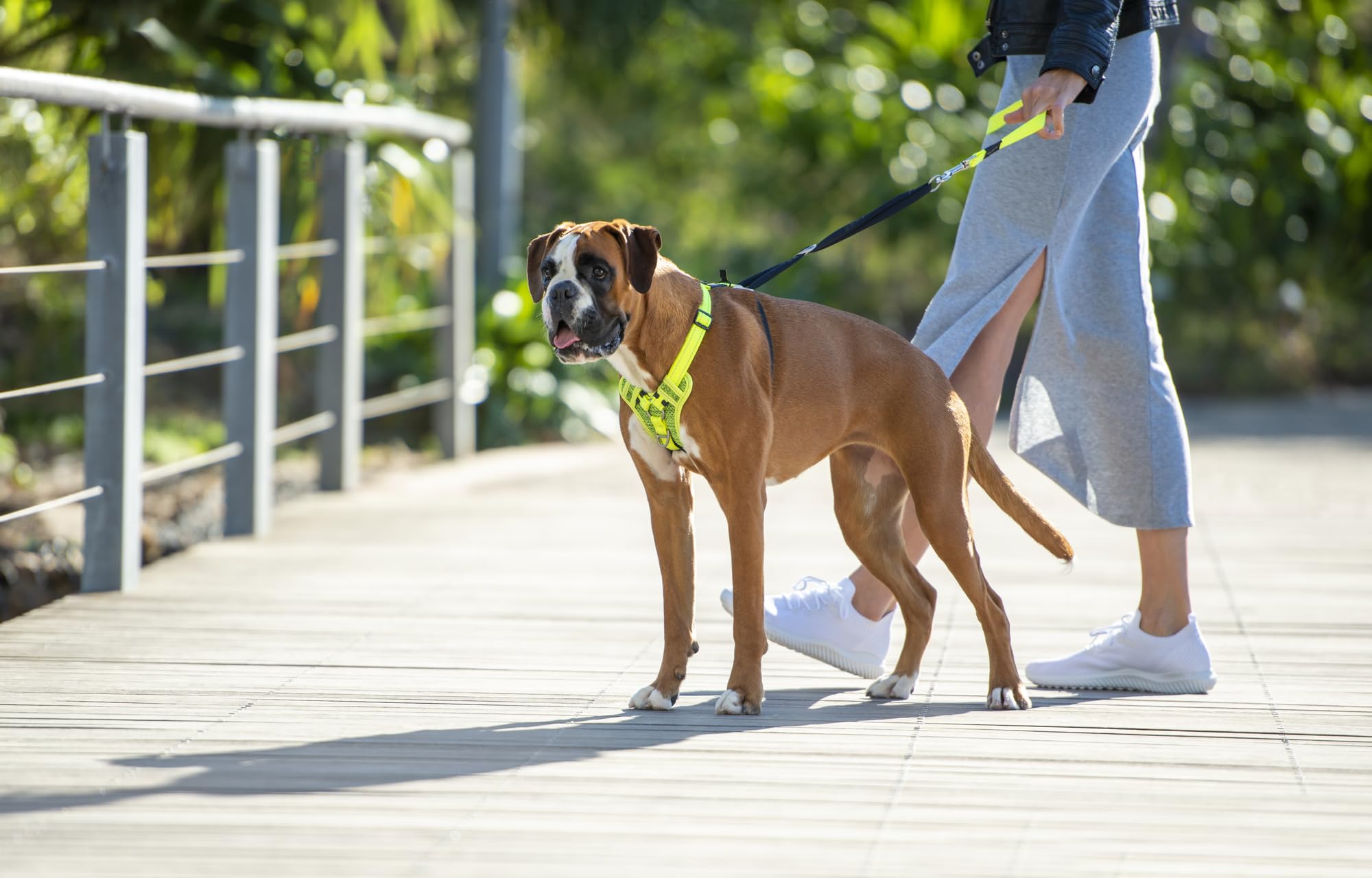Rogz Stop Pull Arnés reflectante clásico grande negro para perro