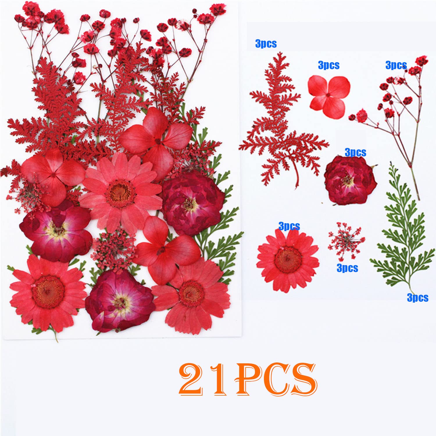 Woohome Fleurs Séchées Pressées, 78 PCS Bricolage Fleurs Séchées Ensemble, Fleurs Pressées Séchées Fleurs Sechees Naturelles pour L'artisanat d'art de Bricolage, Les Bijoux en Résine Epoxy