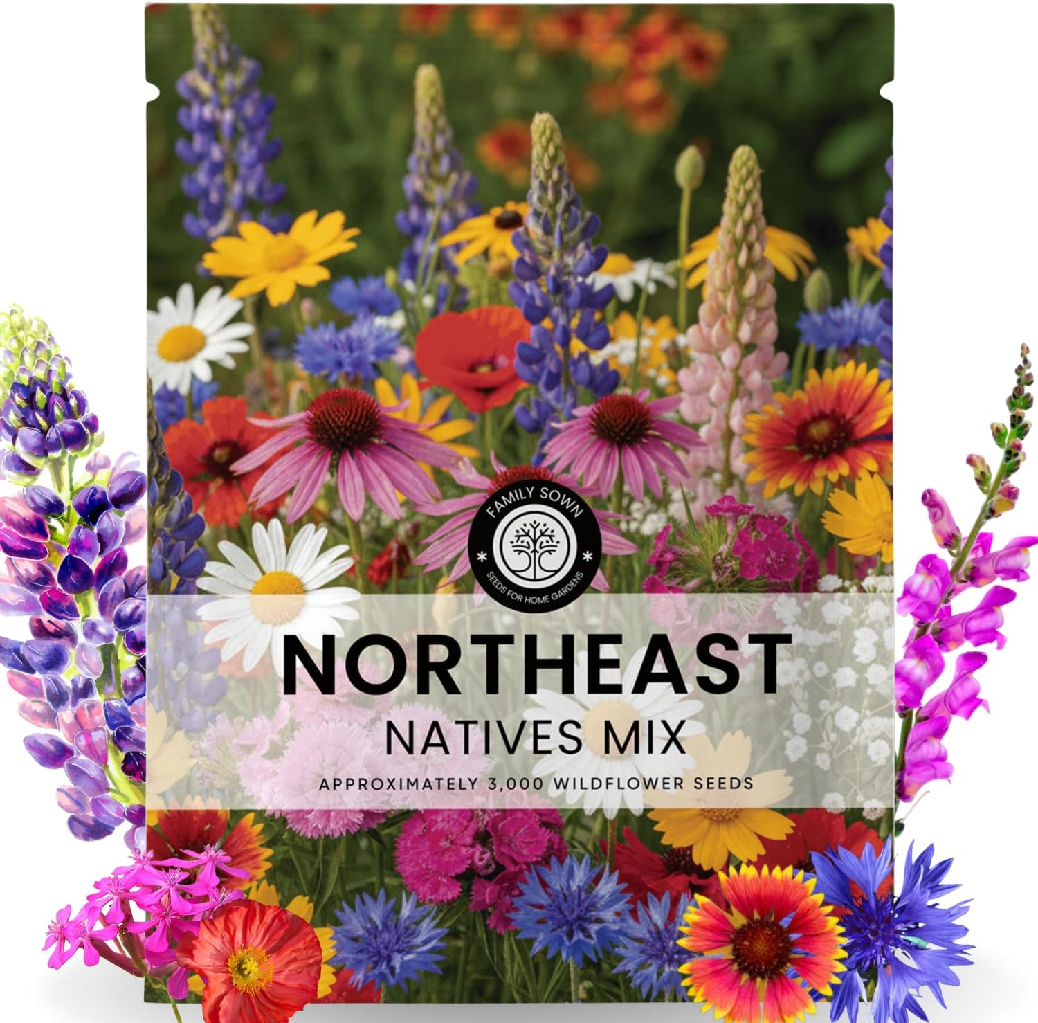 Northeast Natives Mix – 67,000 Seeds for Planting – 2026 Season – 4 Ounce Pouch