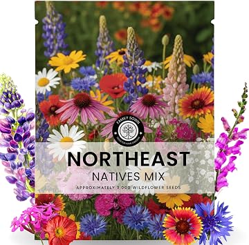 Northeast Natives Mix 3,000 Seeds for Planting 2026 Season 5 Gram Pouch