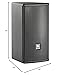 JBL Professional AC16 Ultra Compact 6.5-Inch 2-Way Single Loudspeaker, Black