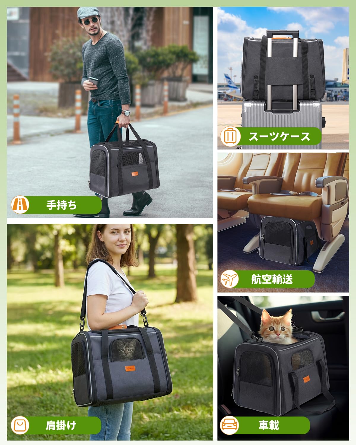 Morpilot MPCW010101GL01サムネイル6