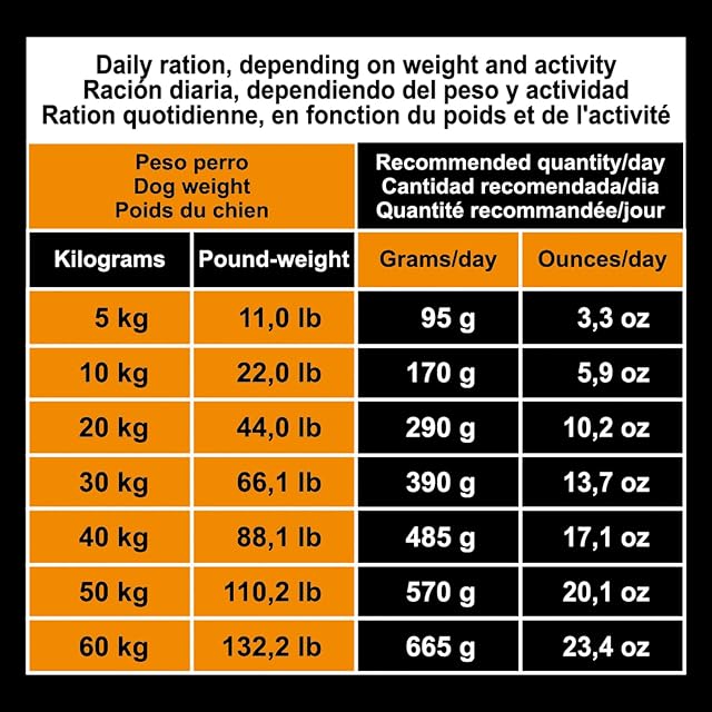Foto 7 de 7 de Arquivet Original Adult - Pienso para Perros Adultos - Pollo Y Arroz - Marrón, 12 kg (Paquete de 1)
