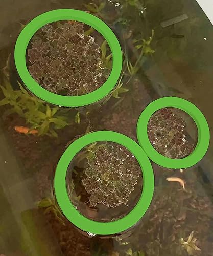 Miniatura 5 de Anillo de planta flotante para acuario  10 anillos de alimentación de peces, circulares de plantas flotantes, corral, valla flexible de lenteja de