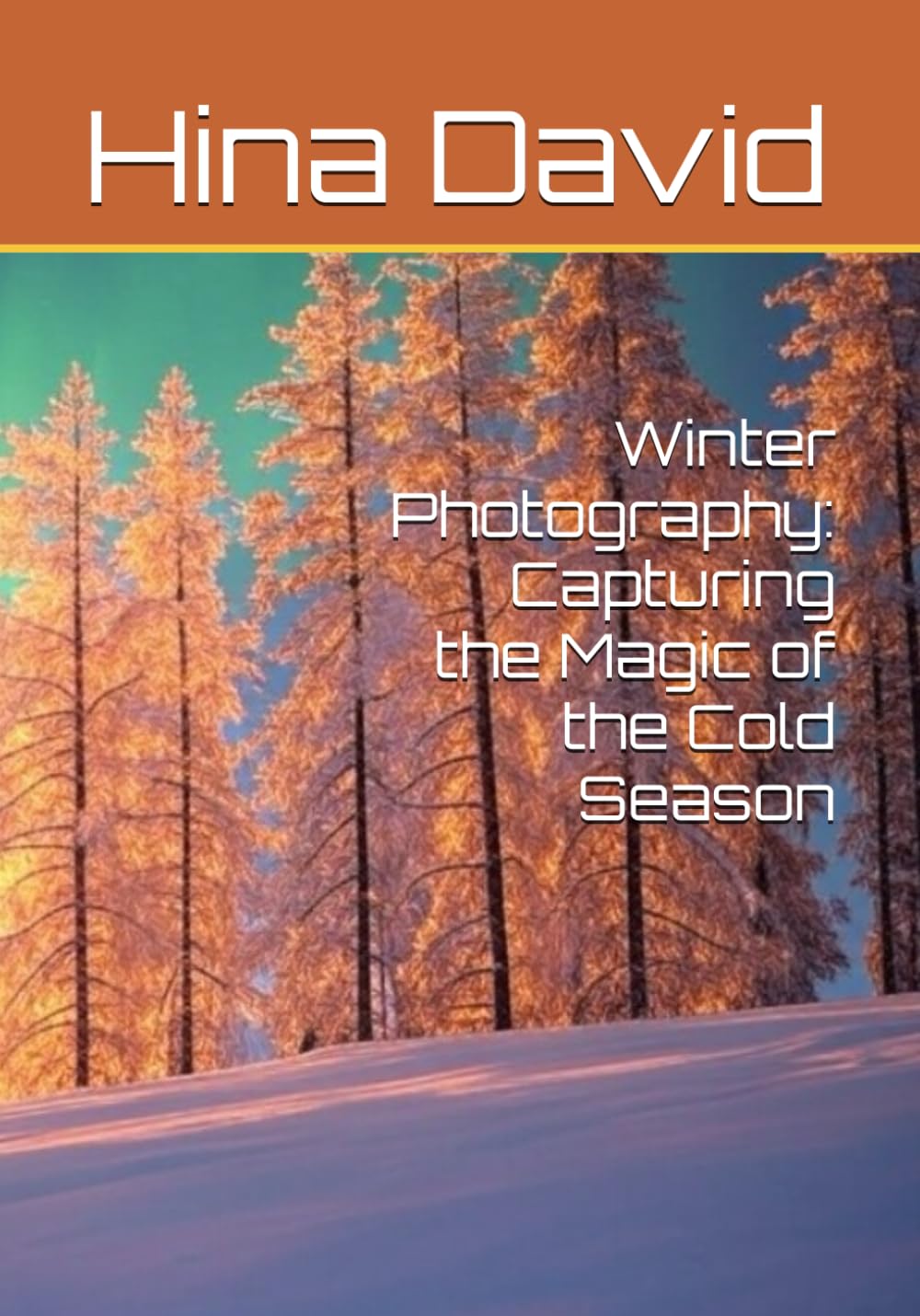 Winter Photography: Capturing the Magic of the Cold Season (Photographing the Seasons)