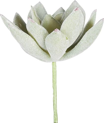 Vickerman Everyday - Selección de Echeveria artificial verde y blanco de 4 pulgadas, selección decorativa de vegetación de poliéster duradero para