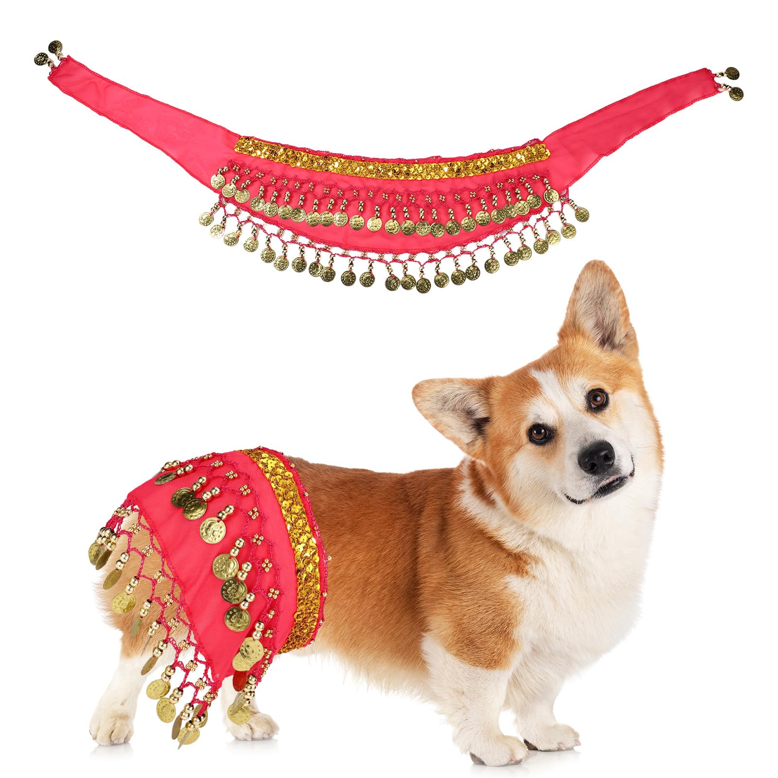 Lyreh Dog Belly Dancer Skirt, Waist Chain Corgi Hip Scarf Costume Puppy Belly Dancing Accessories for Pet Cosplay Party Halloween Celebration (Rose Red)