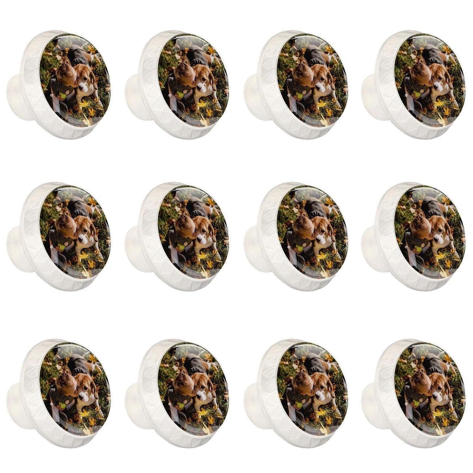 Boutons d'armoires de cuisine ronds décoratifs, lot de 12 poignées pour commode et placard.