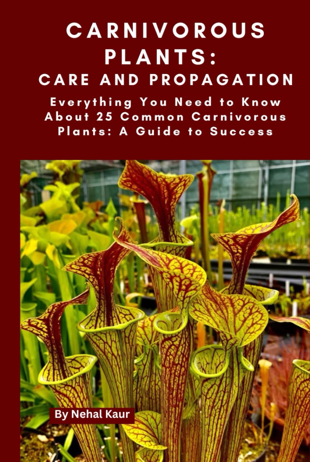 Carnivorous Plants: Care and Propagation: Everything You Need to Know About 25 Common Carnivorous Plants: A Guide to Success