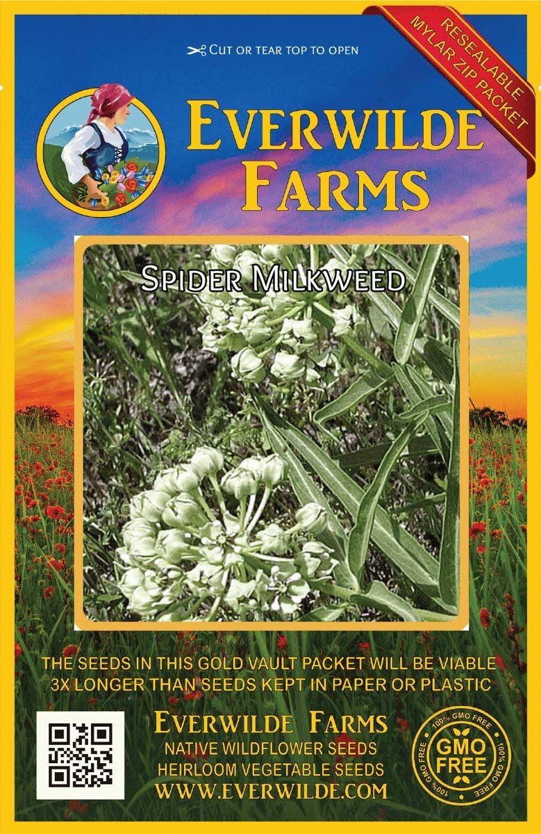 Everwilde Farms - 50 Spider Milkweed Native Wildflower Seeds - Gold Vault Seed Packet