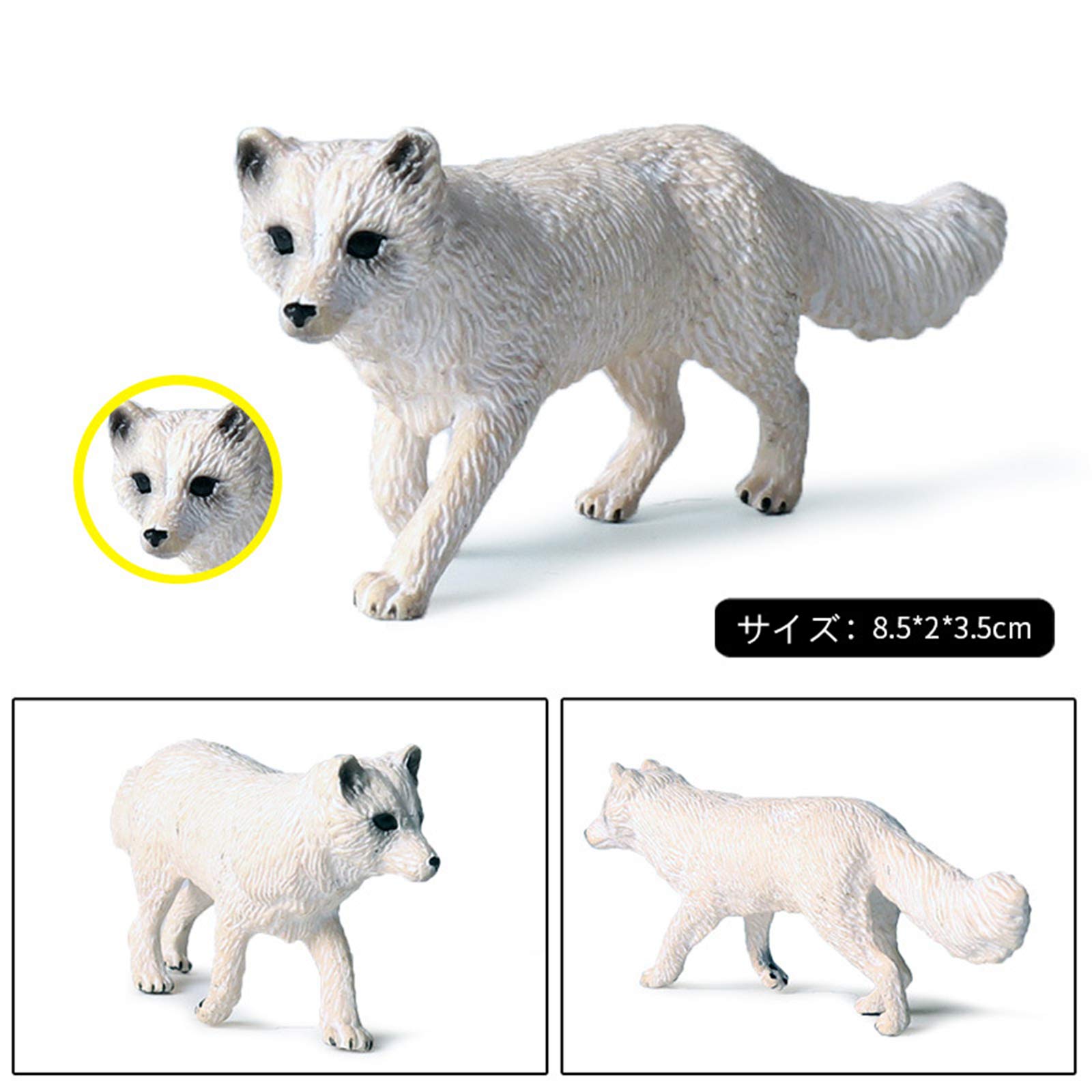 自然動物 フィギュア 狐 猫 犬 1ボックス 202510180134 自然動物