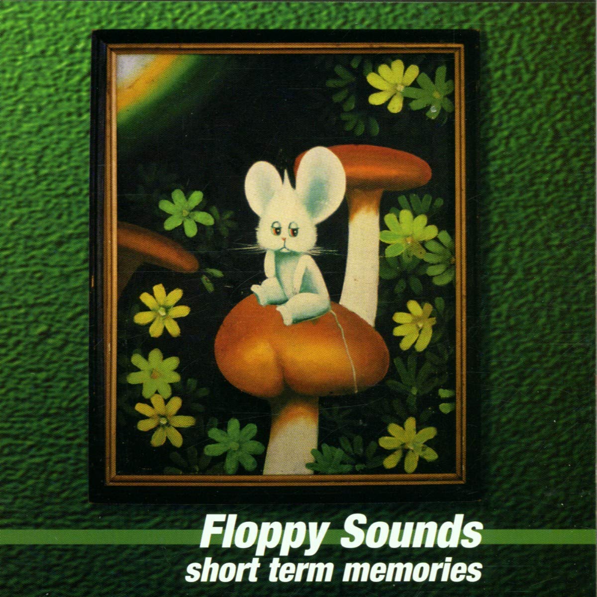 Short Term Memories [Audio CD] Floppy Sounds