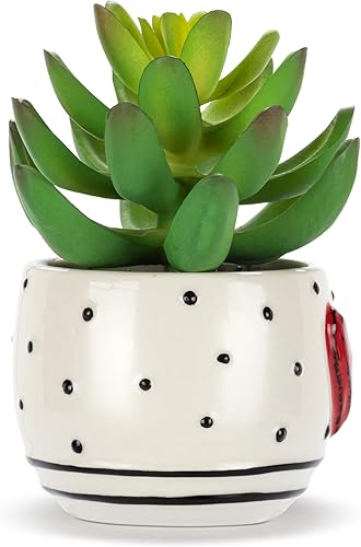 Miniatura 10 de DEMDACO Heartful Home by Tracy Pesche Collection Mini suculenta sintética con mariposa y corazón, 2 x 1.5 pulgadas, cerámica decorativa para