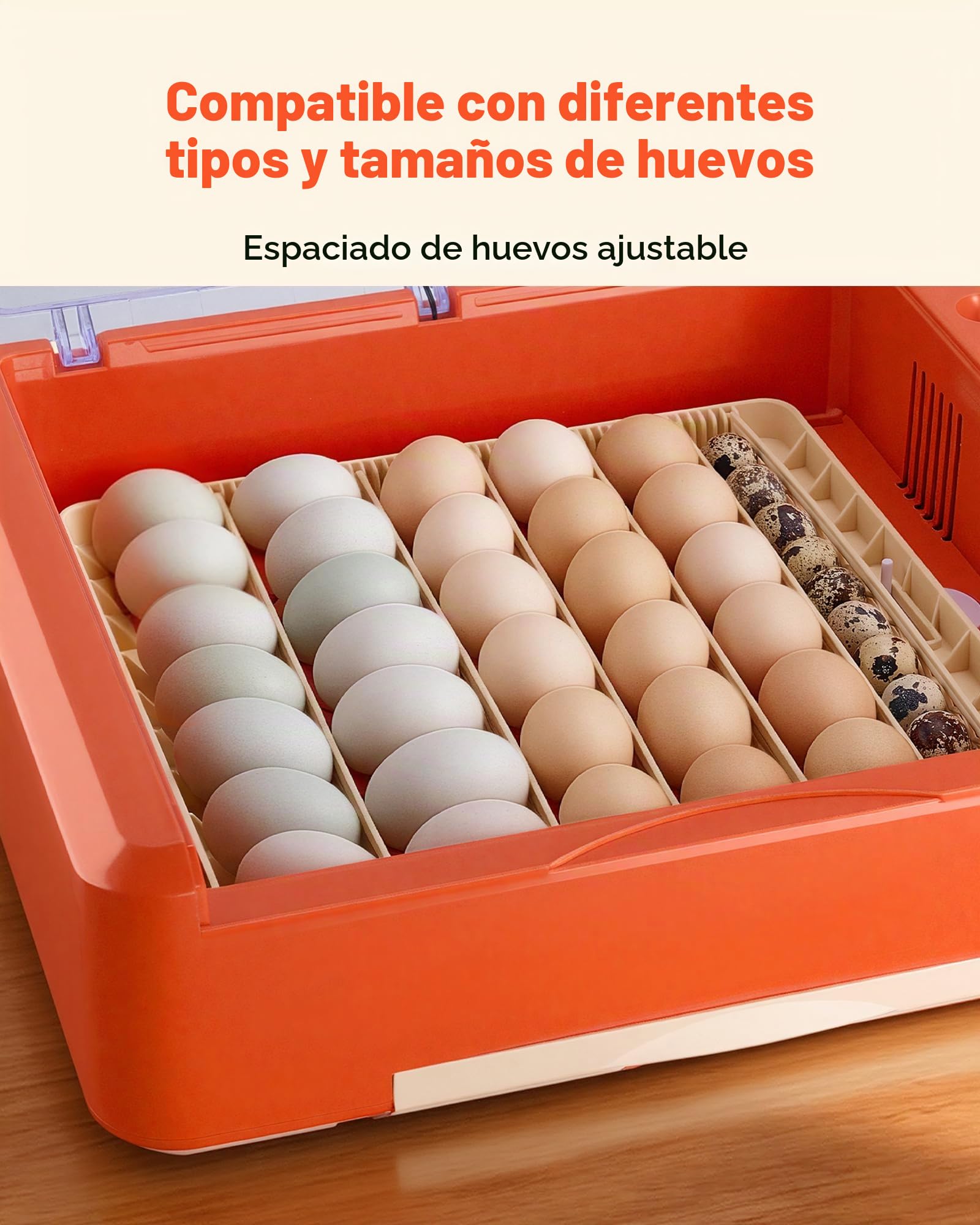 VEVOR Incubadora Huevos, Volteadora Automática con Indicador LED, Pantalla de Temperatura y Control de Humedad, Ventana Transparente con Vista 360°, para Pollitos, Patos (36 Huevos)