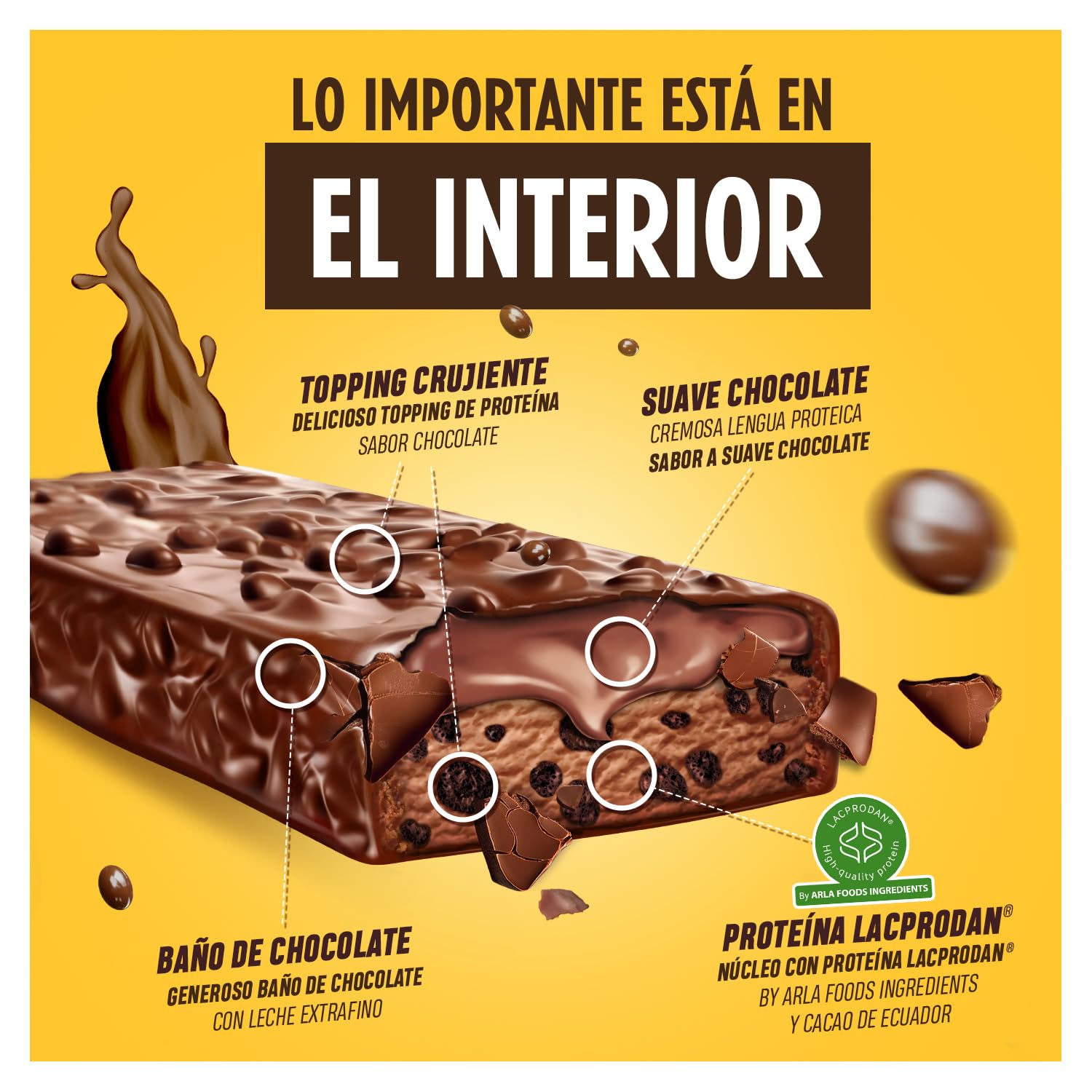 BIG - Barritas Proteina - Barritas Proteinas Sin Azucar - Snack Saludable Alto en Proteínas - + 24 gr por Barrita - Protein Bar con Sabores Exclusivos - Sin Gluten - (Caja (15 uds), Cacaolat)