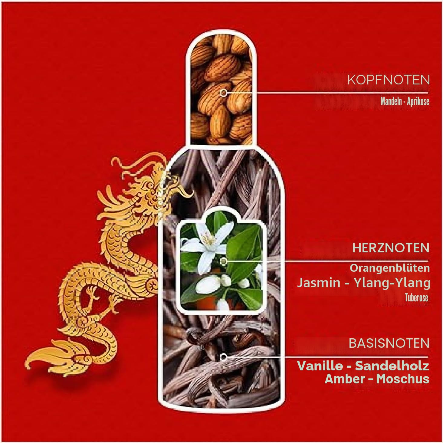 Tesori D'oriente Fiore del Dragone 100ml, fruchtig-aromatisches Parfüm 3x100ml + Italian Gourmet polpa 400gr