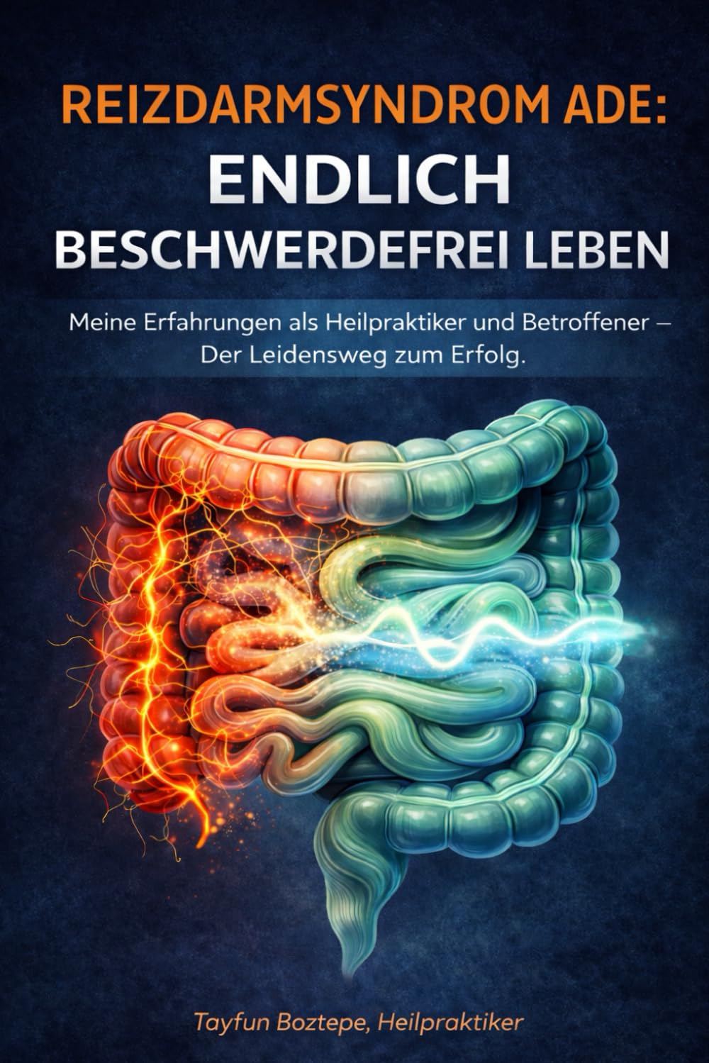 Reizdarmsyndrom ade: Endlich beschwerdefrei leben – Meine Erfahrungen als Heilpraktiker und Betroffener: Der Leidensweg zum Erfolg: Wie ich meine Darmgesundheit zurückgewann