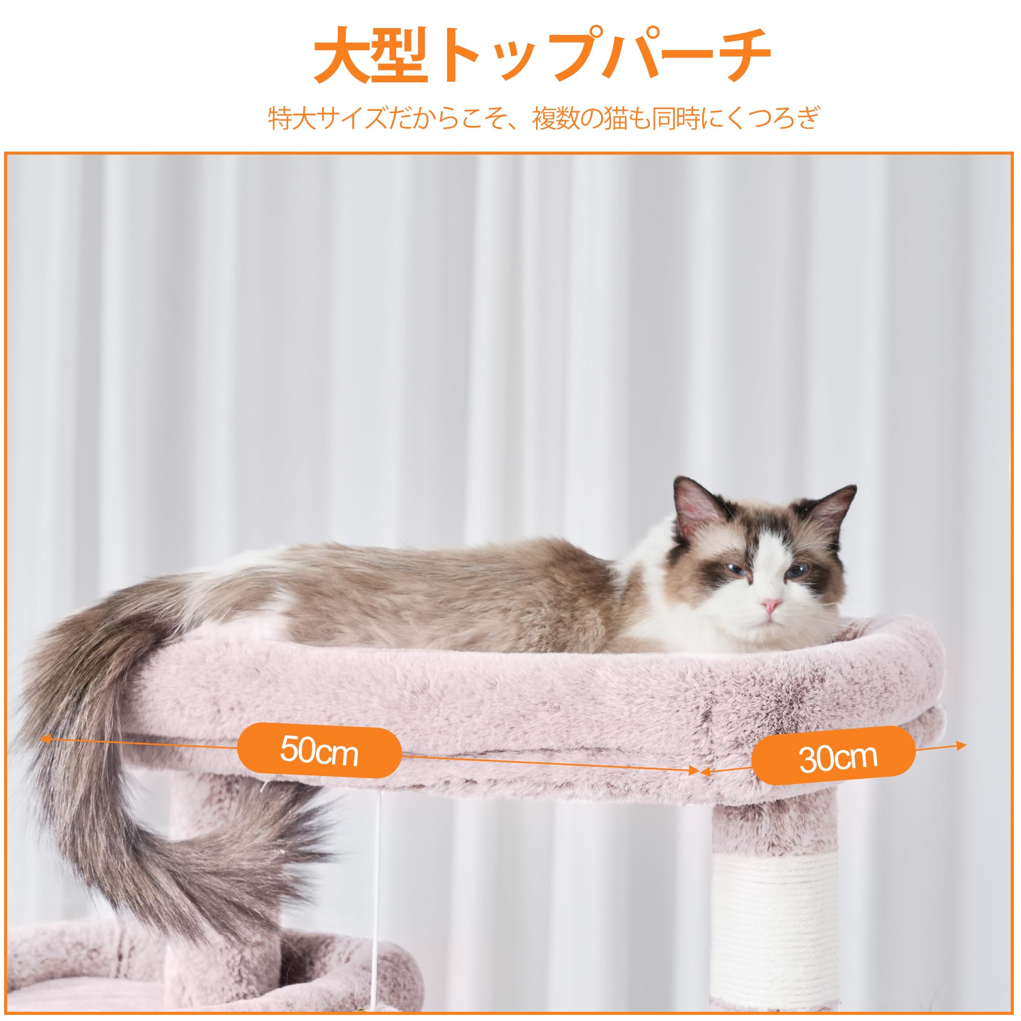 Amazon | Heyblyキャットタワー 多頭飼い最適 高180cm 大型猫用