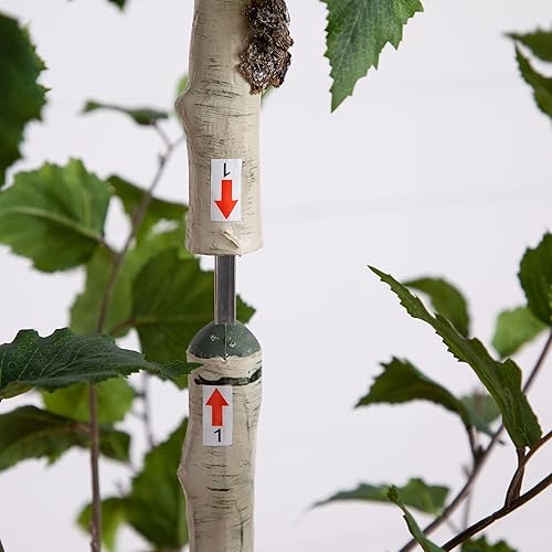 Miniatura 4 de Nearly Natural Árbol de abedul artificial de 7 pies, ramas flexibles, árbol sintético de primera calidad para decoración de interiores, hojas y