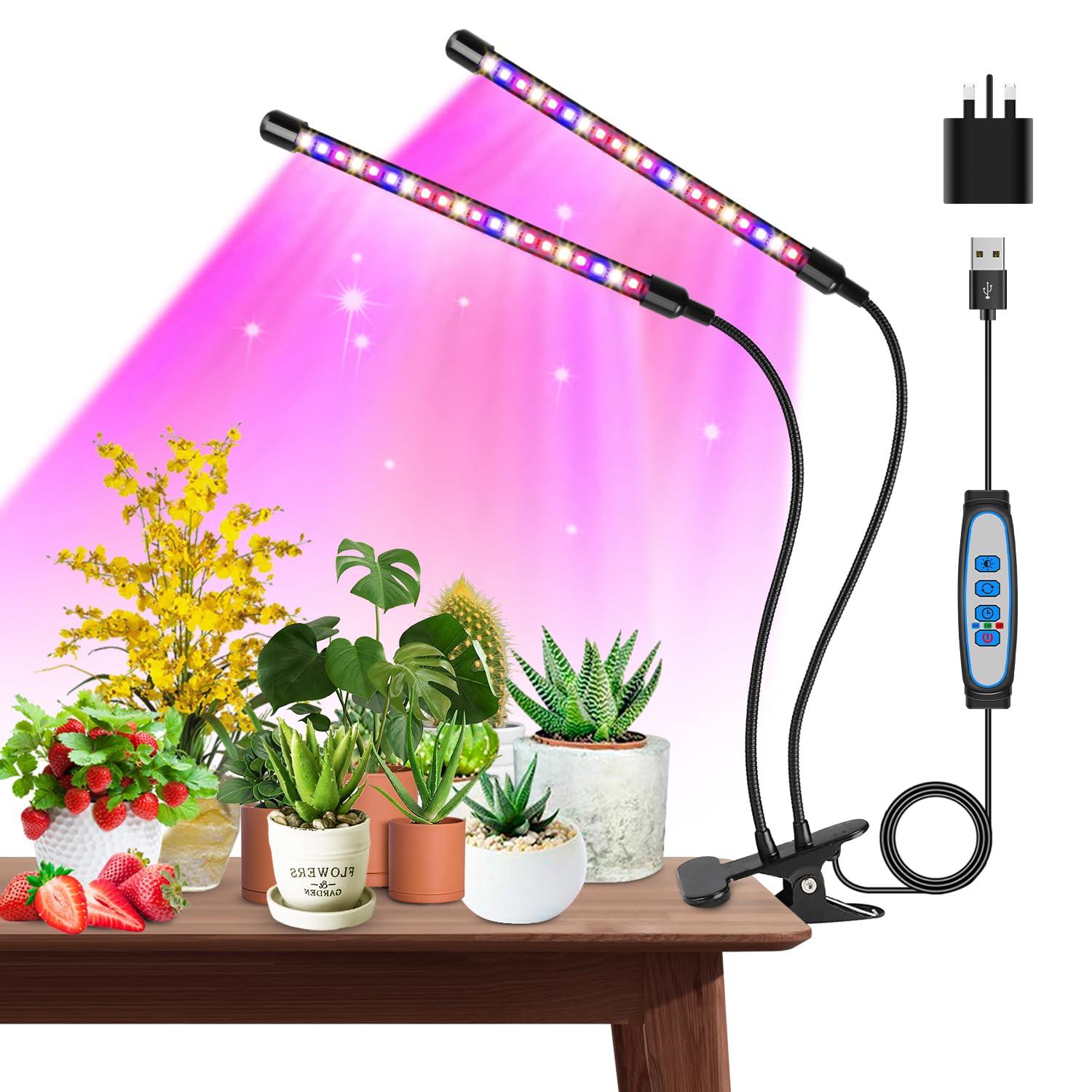 Garpsen Grow Lights for Indoor Plants, Review – Best Budget Option?