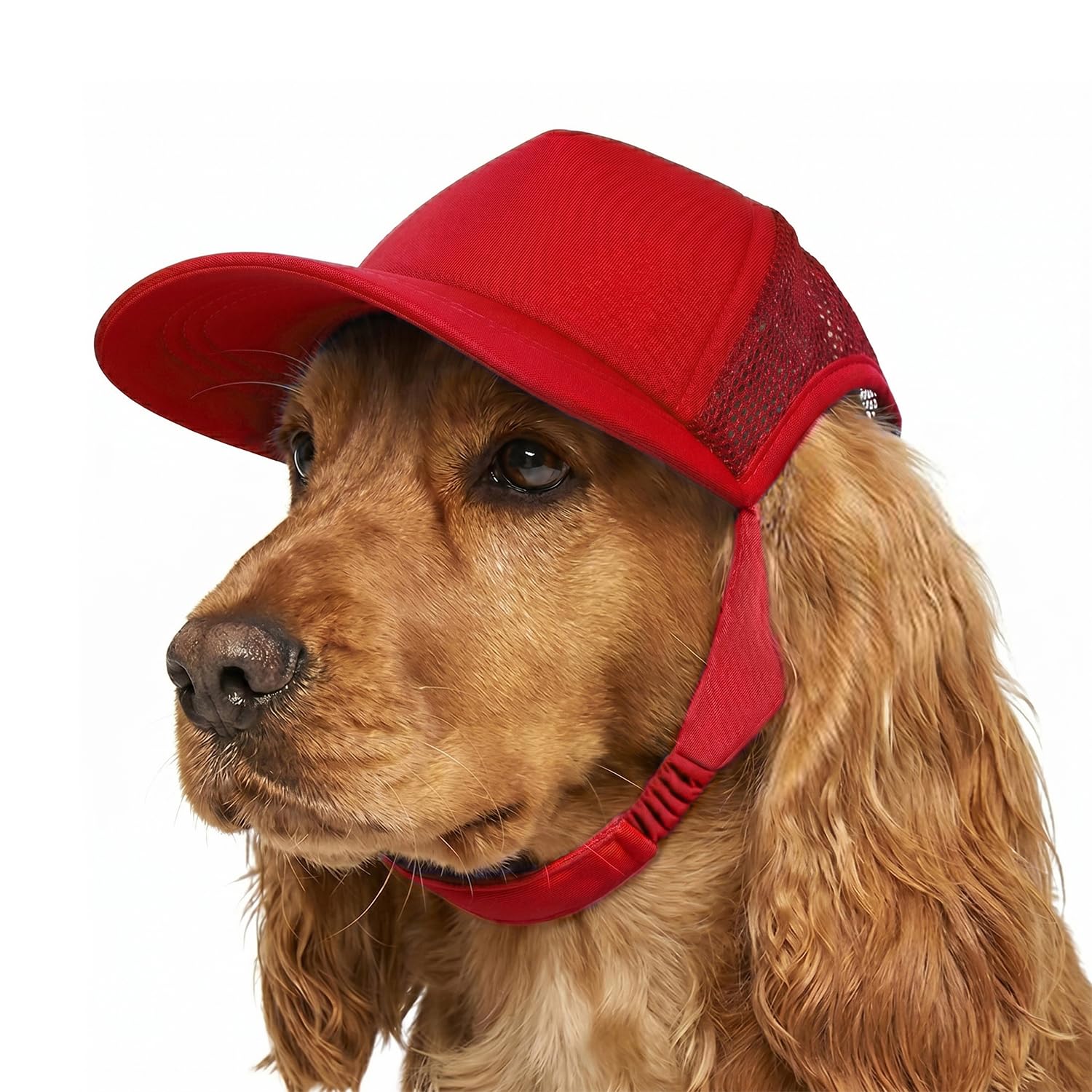 Photo 1 of **runs big** Tuff Pupper Dog Baseball Cap | UV Protection Dog Sun Hat | Breathable Lightweight Design | Secure Adjustable Chin Strap | Quick-Dry Fabric | Reinforced Brim | Small Medium Large Dogs (Red, M)