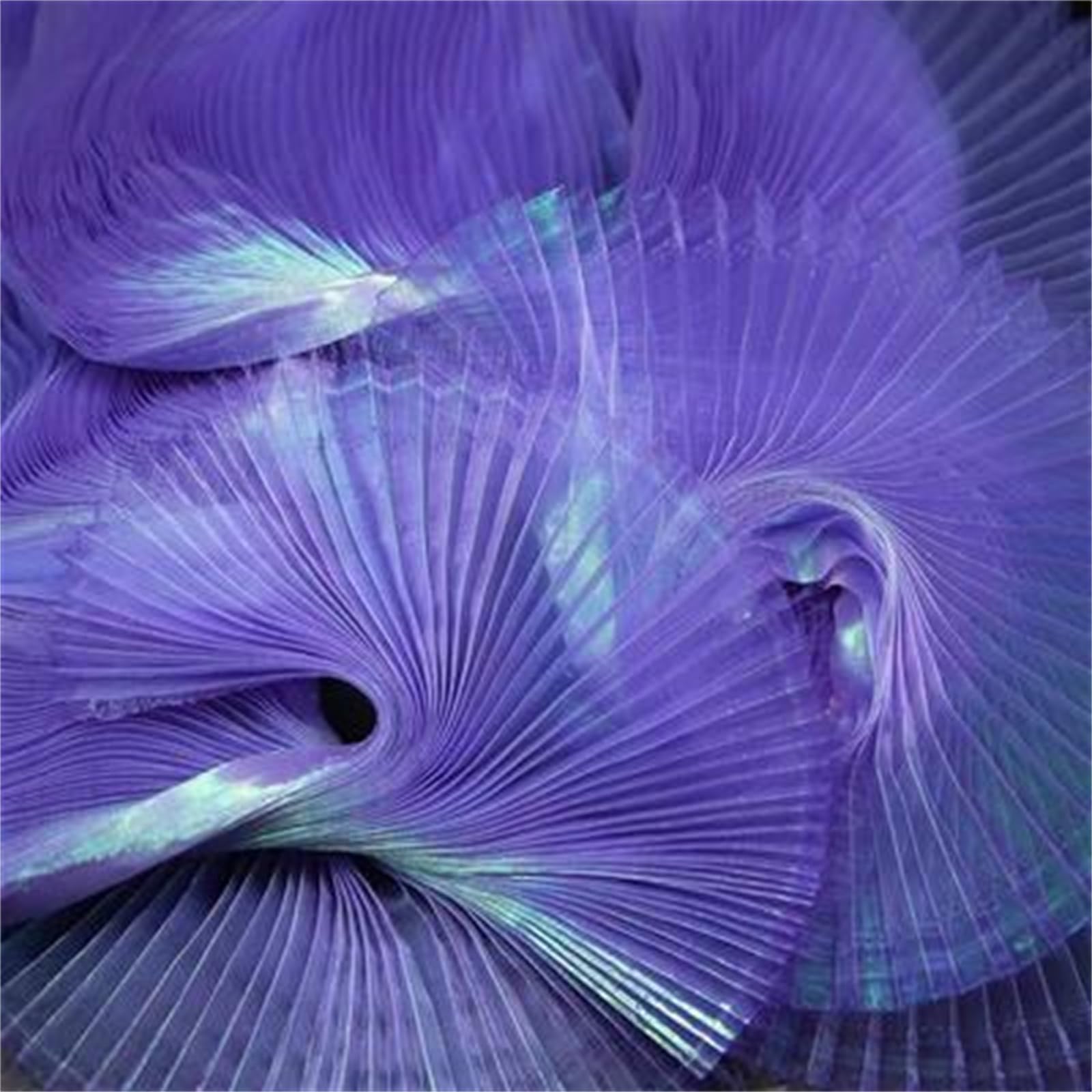 Tejido de malla de organza plisada de poliéster, Tela de poliéster plisada malla acordeón Multicolor, 145cm, costura vestidos, decoración escenario, bricolaje(13)