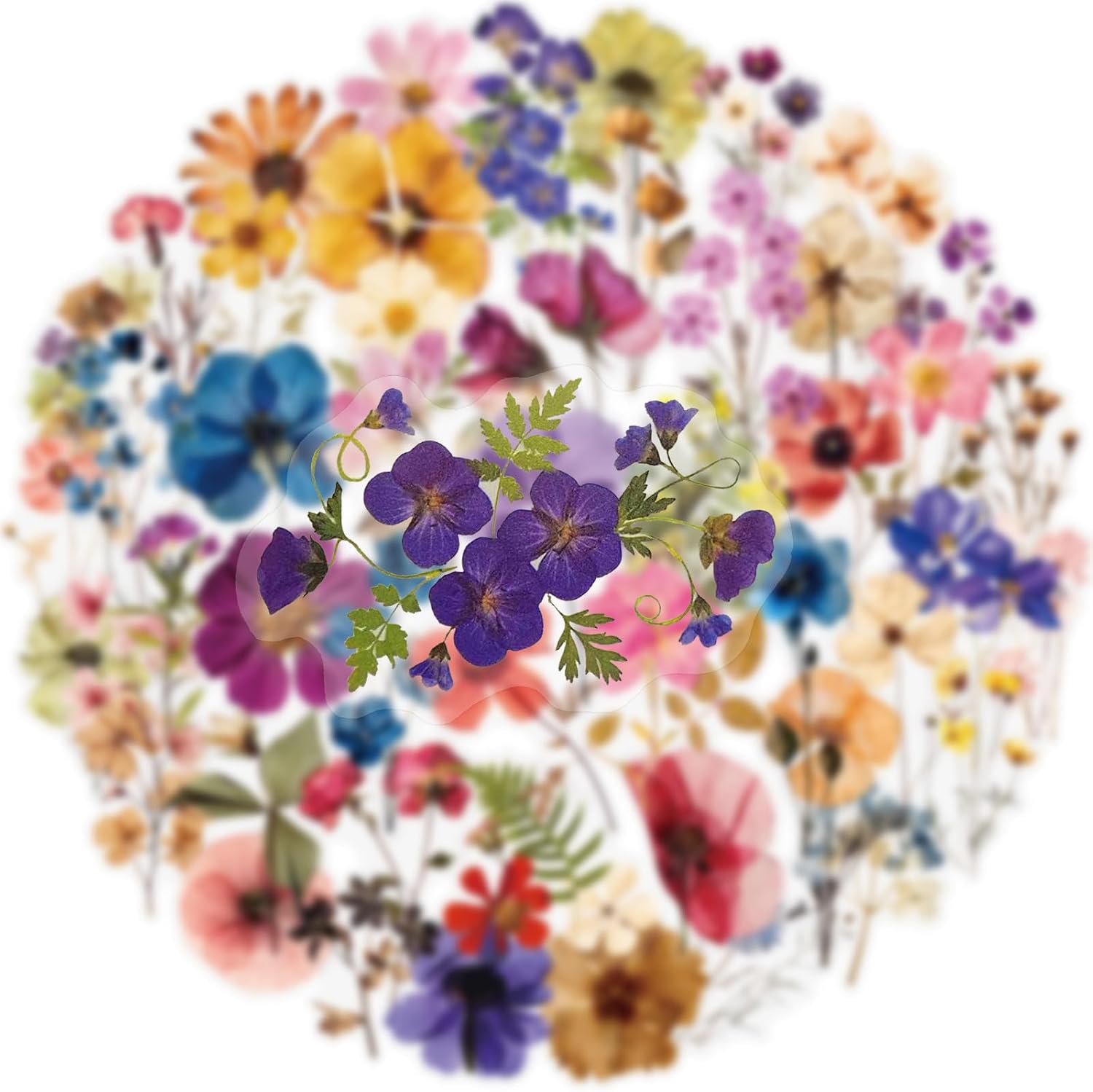 52Pcs Transparent Flora Scrapbook Stickers Pack, Colorful Wildflower Daisy Rose Stickers for Journaling Planner, Waterproof Aesthetic Floral Decals for Water Bottles Laptop (Spring Garden)