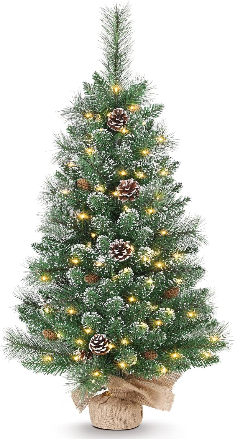2021 Tree of life ニュージーランド1オンス クリアケース FS 2021 Tree of life ニュージーランド1オンス クリアケース FS