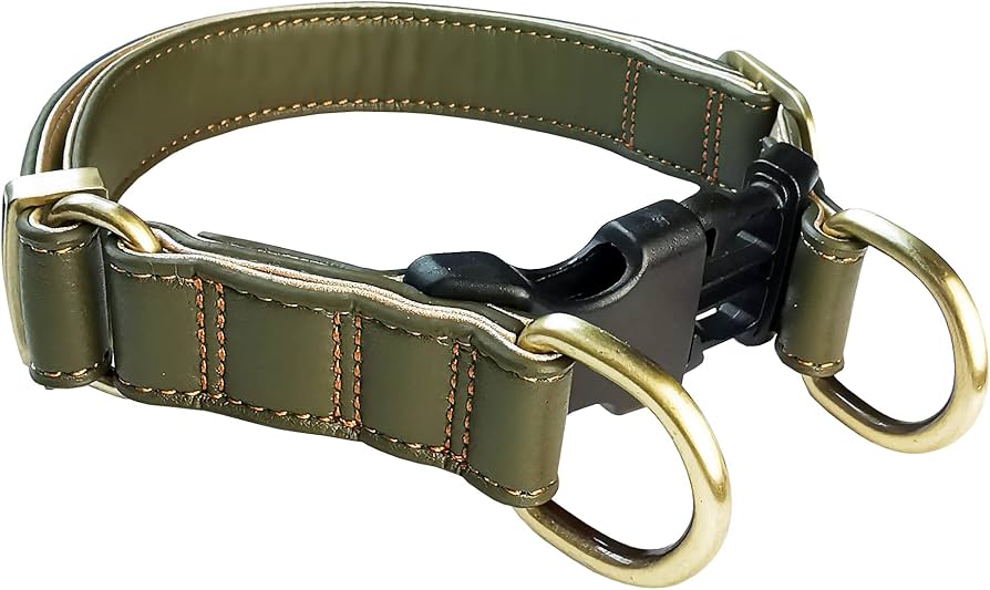 小型犬用首輪 Amazon | Beanspet Sサイズのみ 犬 首輪 ワンタッチ ダブルリング 小型