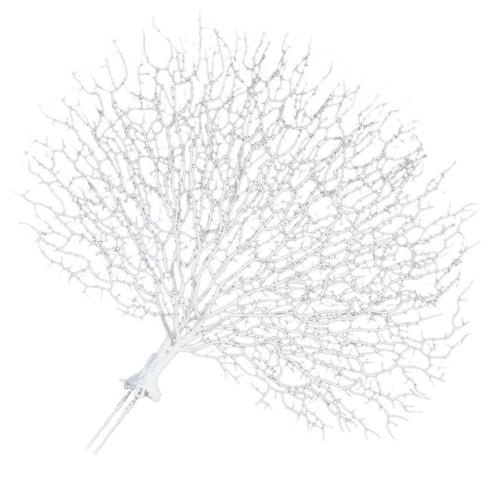 Plante Artificielle de pour décoration d'aquarium (Blanc)
