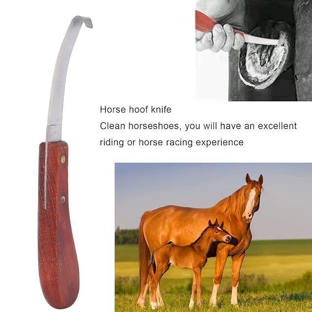 Foto 2 de 7 de Cuchillo para Cortar Pezuñas, Cuchillo Práctico Y Afilado para Pezuñas de Caballo para Herradores