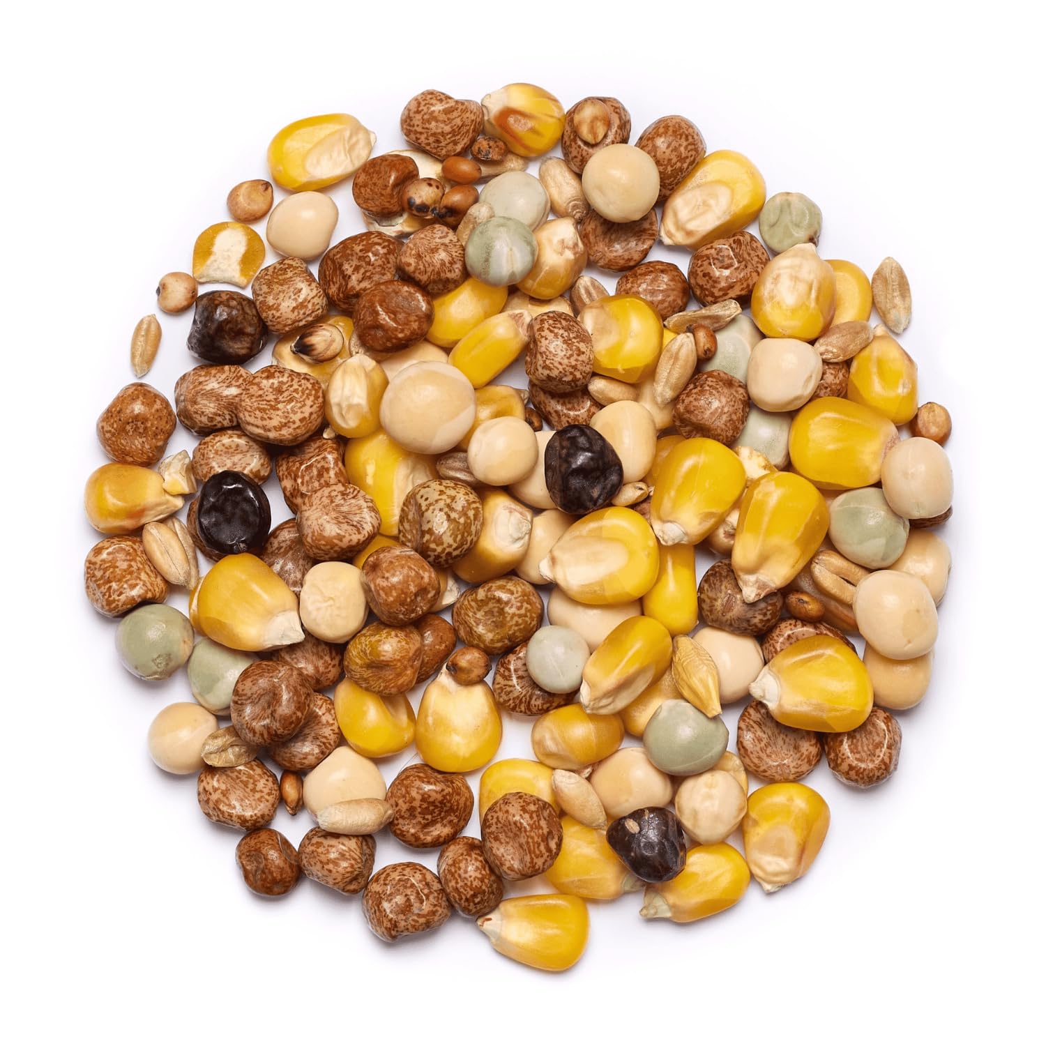 Countrywide Ponderosa Four Seasons Pigeon Seed Mix 20kg - Premium All Year Round Food For Pigeons - Dust Free - High In Peas