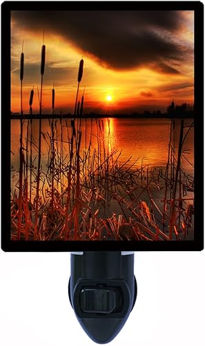 Bullrush Puesta de sol Luz NocturnaLuz LED de Noche disponible en Yaxa El Salvador